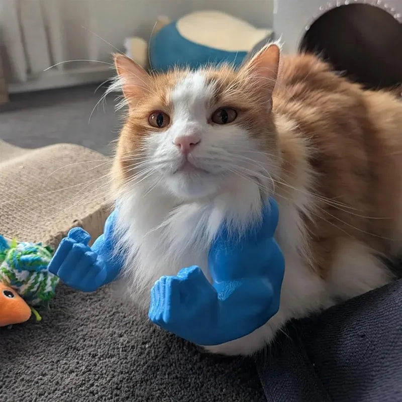 Kedi Kaslı Halloween Kostümü