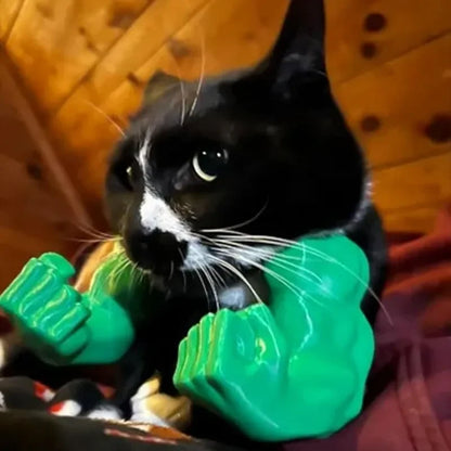 Kedi Kaslı Halloween Kostümü