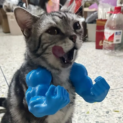 Kedi Kaslı Halloween Kostümü